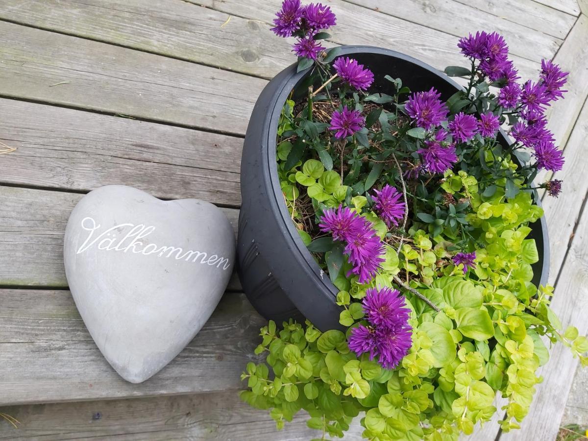 Hallestrand Cottage Krabban Strömstad Εξωτερικό φωτογραφία